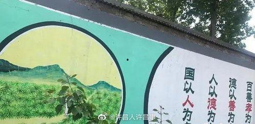 禹州市最新消息爆料新闻,揭秘神秘事件背后的真相  第1张